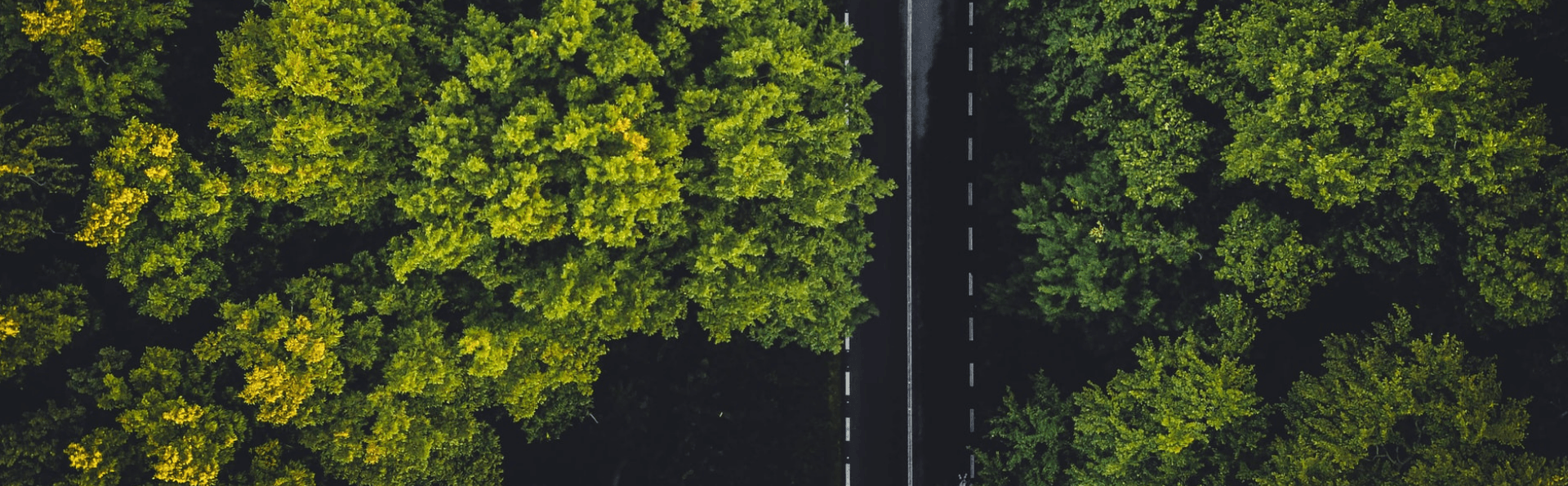 Sustaining Profitability in a Green Environment