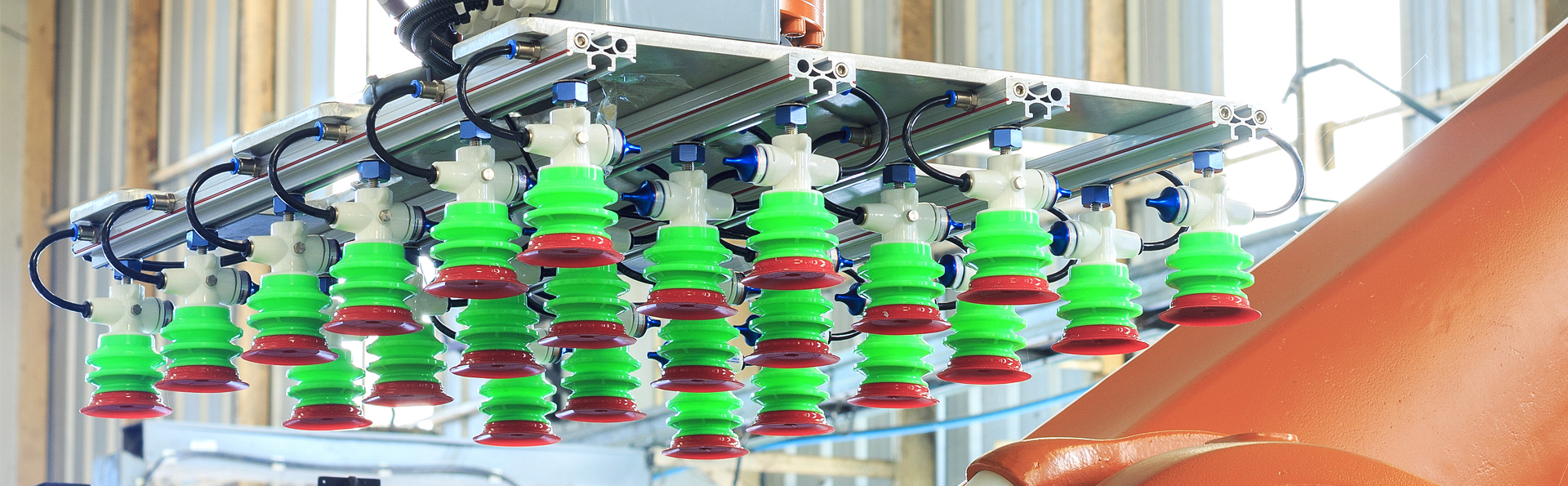 Warehouse Automation Trends